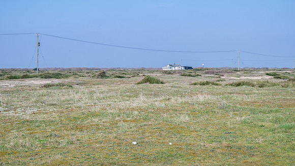 Sussex-88