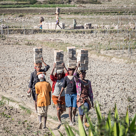Carrying Clay Bricks from Field