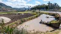 Rural Scene -1