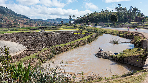 Rural Scene -1