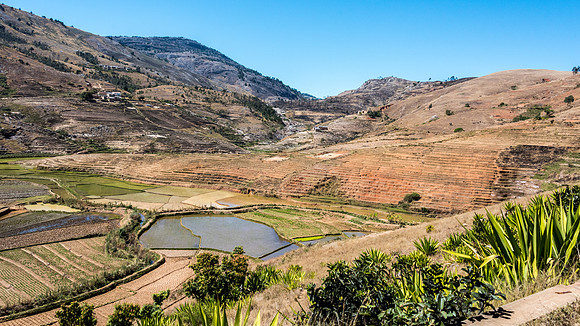 Rural Scene -2