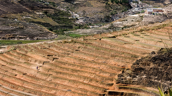 Rural Scene -3