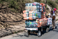Pushing Cart -3