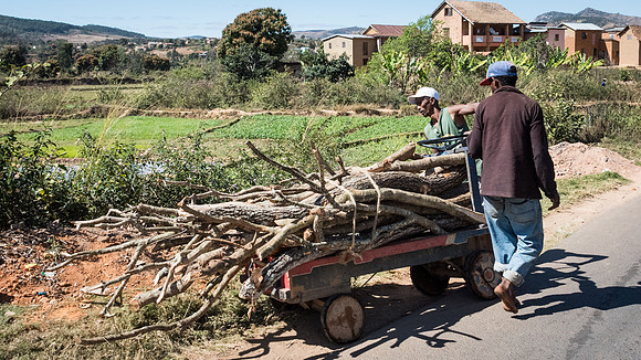 Cart with Sticks