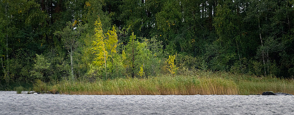 Linnansaari National Park -1