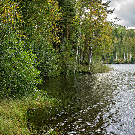 Linnansaari National Park -18