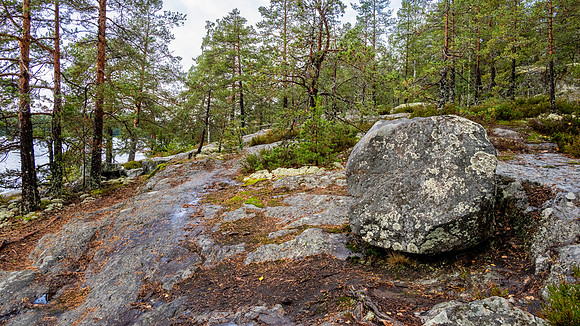 Linnansaari National Park -5
