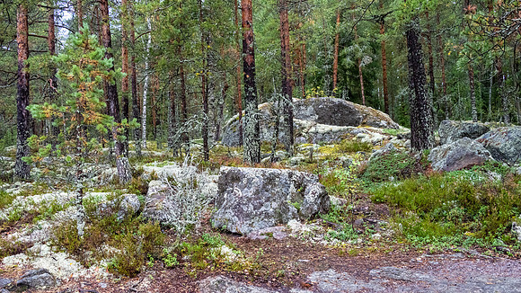 Linnansaari National Park -8