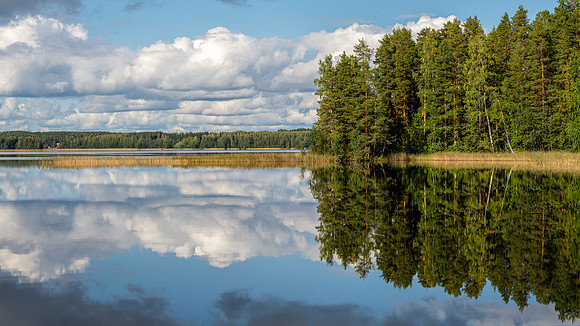 Linnansaari National Park -22