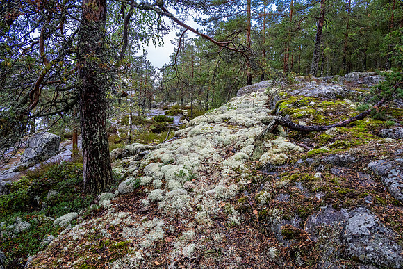 Linnansaari National Park -7