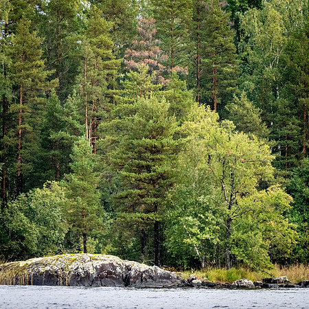 Linnansaari National Park -11