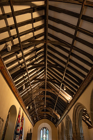 Just-in-Roseland -9