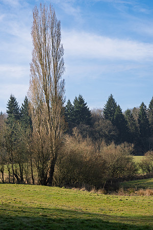 Kempley-6