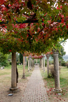 Salona Museum -4