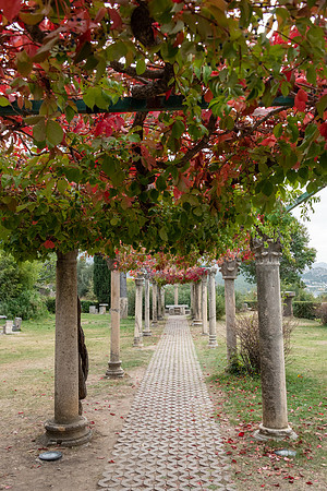 Salona Museum -4
