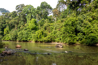 Danum River -1