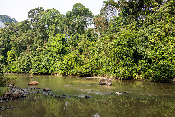 Danum River -1