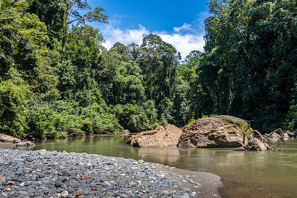 Danum River -3
