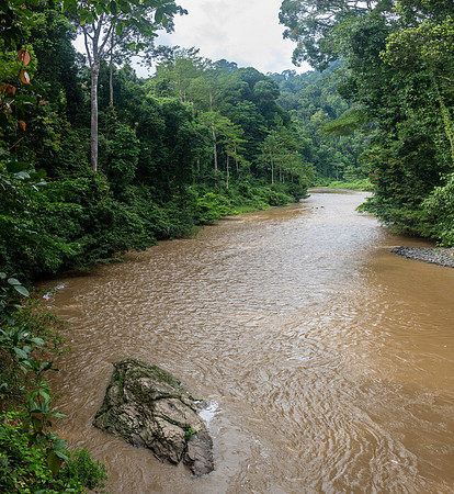 Danum River -6