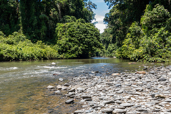 Danum River -5