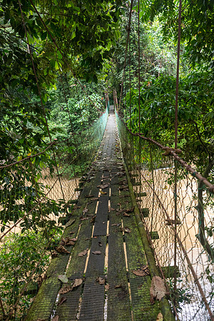 Danum River Bridge