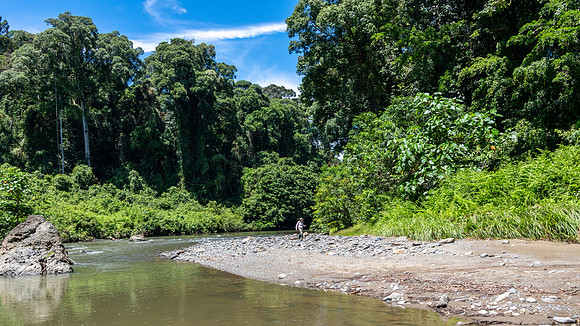Danum River -4