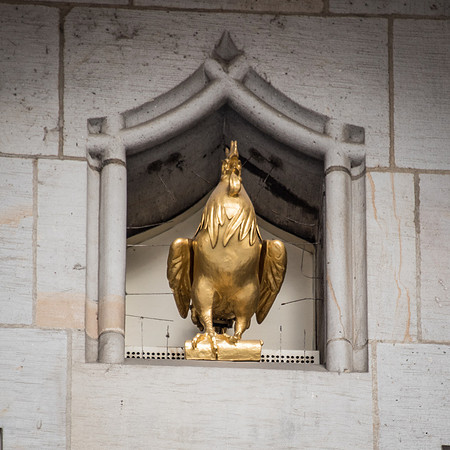 Astronomical Clock  Cockrel