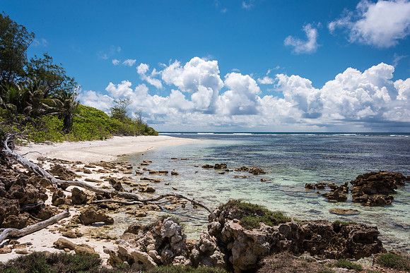 Southern Point Denis Island -2