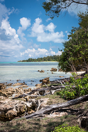 Southern Point Denis Island