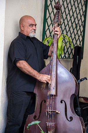 Restaurant Musician