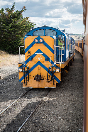 Taieri Gorge Train -3