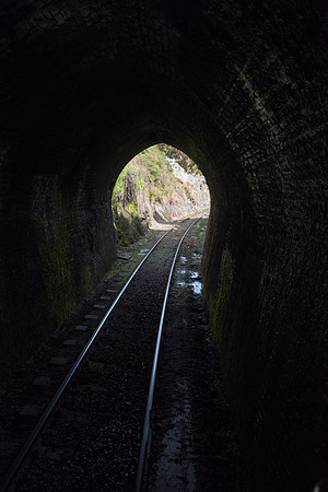 Taieri Gorge Rail Trip -1