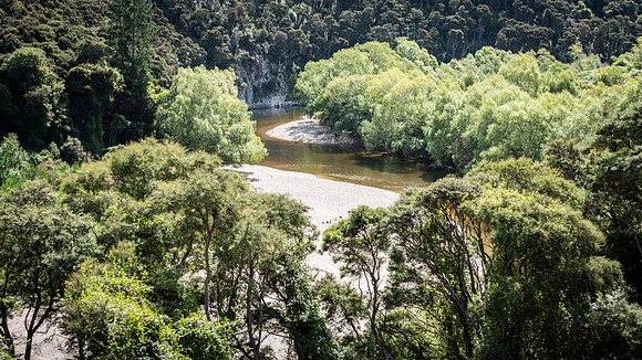 Taieri Gorge Rail Trip -4