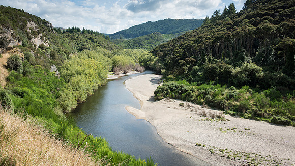 Taieri Gorge Rail Trip -5