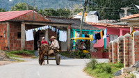 Horse and Cart