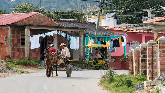 Horse and Cart