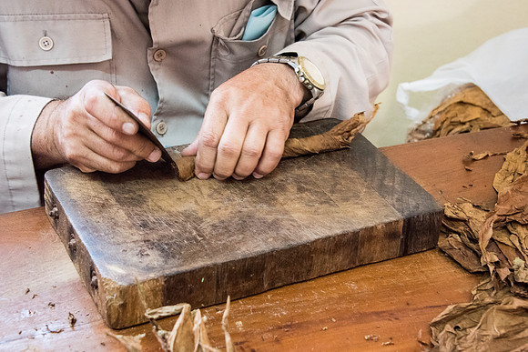 Making Cigar -3