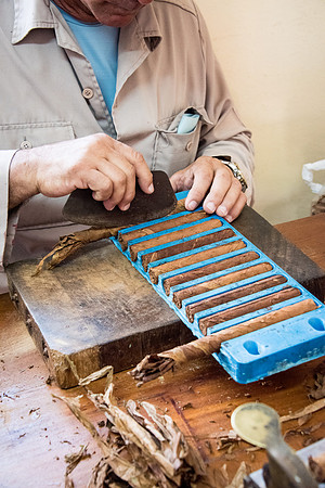 Making Cigar -4
