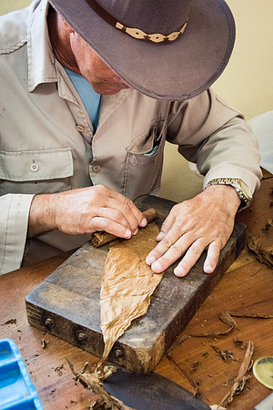 Making Cigar -5