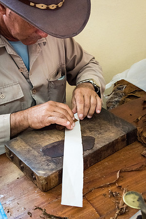 Making Cigar -8