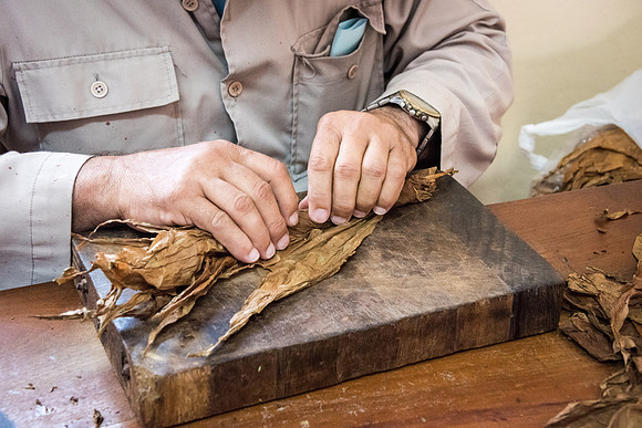 Making Cigar -2