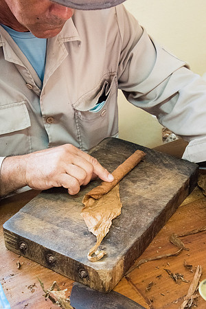 Making Cigar -6