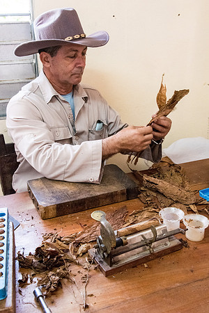Making Cigar -1