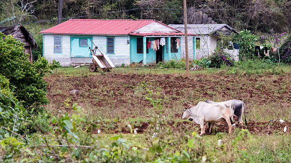Farm -2