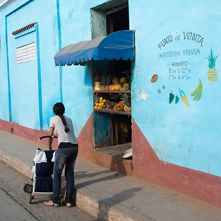 Fruit and Veg Shop