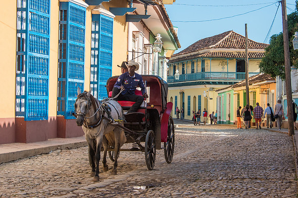 Horse and Cart -1