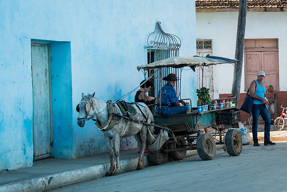 Horse and Cart -3