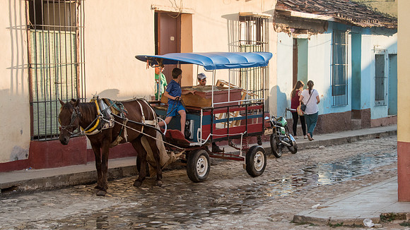 Horse and Cart -2