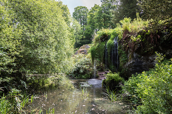 Blarney Castle Gardens -5
