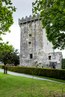 County Cork